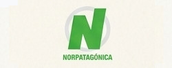 Cliente 14